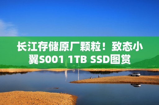 长江存储原厂颗粒！致态小翼S001 1TB SSD图赏