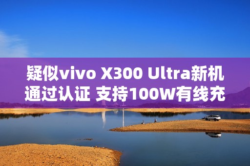 疑似vivo X300 Ultra新机通过认证 支持100W有线充电