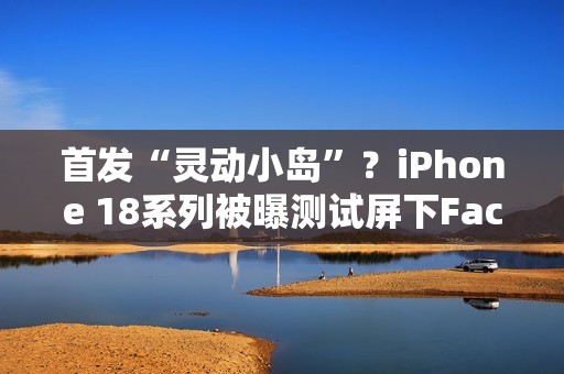 首发“灵动小岛”？iPhone 18系列被曝测试屏下Face ID