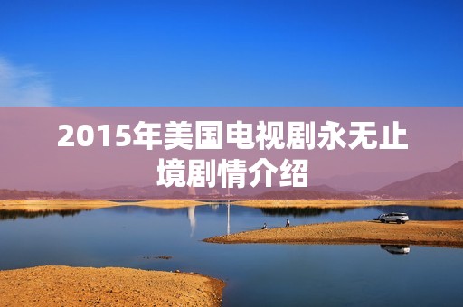 2015年美国电视剧永无止境剧情介绍