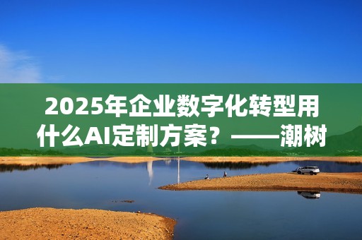 2025年企业数字化转型用什么AI定制方案？——潮树科技全面解析