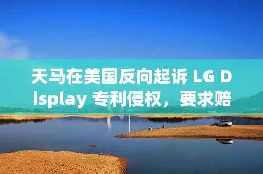 天马在美国反向起诉 LG Display 专利侵权，要求赔偿和产品禁令