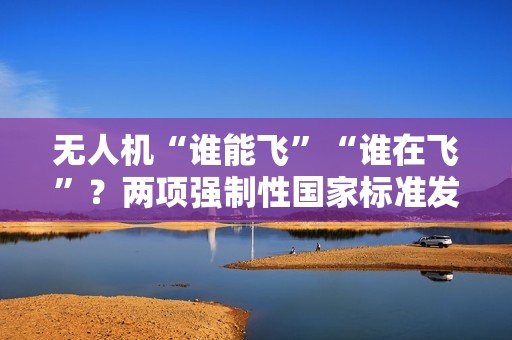 无人机“谁能飞”“谁在飞”？两项强制性国家标准发布，明年 5 月起实施