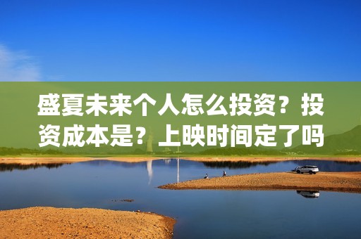 盛夏未来个人怎么投资？投资成本是？上映时间定了吗？(盛夏未来hey siri)