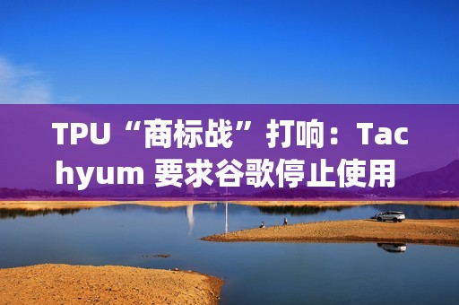 TPU“商标战”打响：Tachyum 要求谷歌停止使用 TPU 缩写