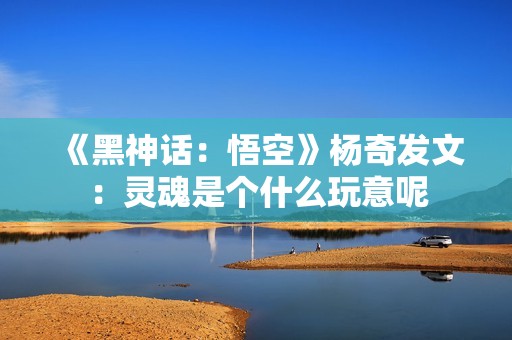 《黑神话：悟空》杨奇发文：灵魂是个什么玩意呢
