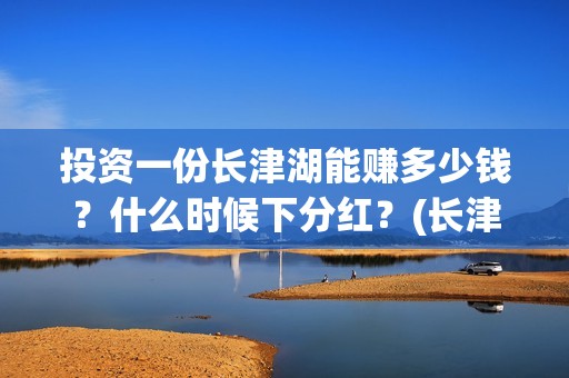 投资一份长津湖能赚多少钱？什么时候下分红？(长津湖投资方比例)