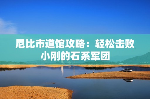 尼比市道馆攻略：轻松击败小刚的石系军团