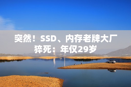 突然！SSD、内存老牌大厂猝死：年仅29岁