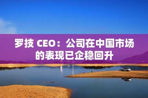罗技 CEO：公司在中国市场的表现已企稳回升