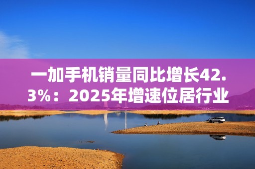 一加手机销量同比增长42.3%：2025年增速位居行业第一