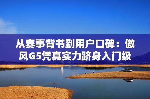 从赛事背书到用户口碑：傲风G5凭真实力跻身入门级电竞椅推荐榜单