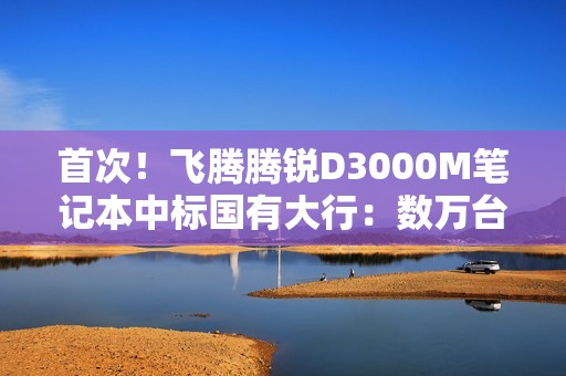 首次！飞腾腾锐D3000M笔记本中标国有大行：数万台规模