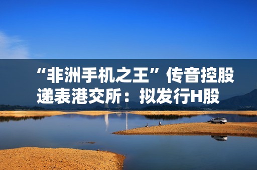 “非洲手机之王”传音控股递表港交所：拟发行H股