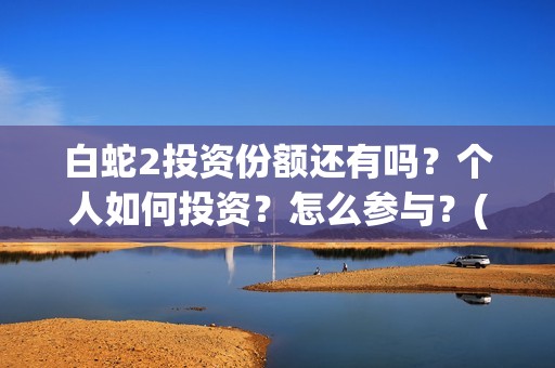 白蛇2投资份额还有吗？个人如何投资？怎么参与？(白蛇2亏本了吗)
