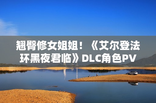 翘臀修女姐姐！《艾尔登法环黑夜君临》DLC角色PV：送葬者