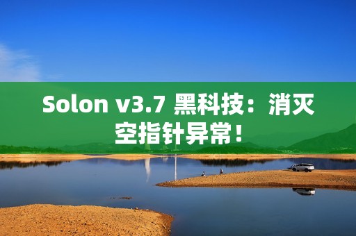 Solon v3.7 黑科技：消灭空指针异常！