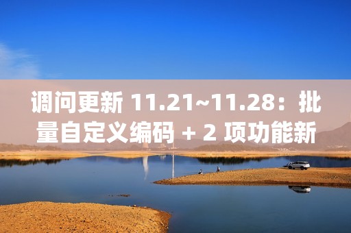 调问更新 11.21~11.28：批量自定义编码 + 2 项功能新增 + 4 项功能优化 + 7 项 BugFix