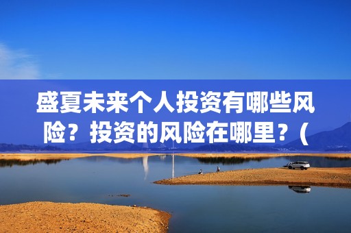 盛夏未来个人投资有哪些风险？投资的风险在哪里？(盛夏未来个人投资多少钱)