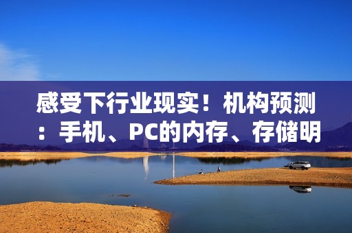 感受下行业现实！机构预测：手机、PC的内存、存储明年Q1至少涨幅30%！