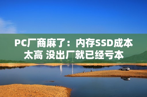 PC厂商麻了：内存SSD成本太高 没出厂就已经亏本