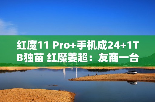 红魔11 Pro+手机成24+1TB独苗 红魔姜超：友商一台都没有