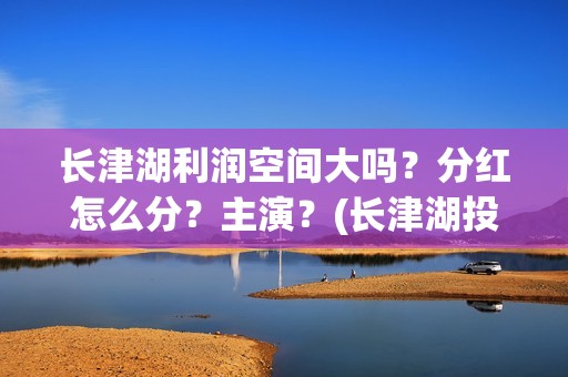 长津湖利润空间大吗？分红怎么分？主演？(长津湖投资收益有多少)