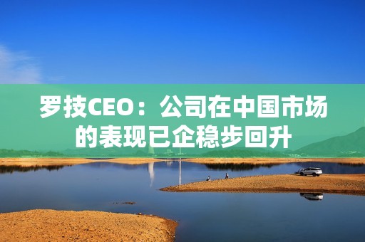 罗技CEO：公司在中国市场的表现已企稳步回升