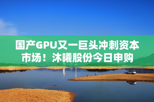 国产GPU又一巨头冲刺资本市场！沐曦股份今日申购
