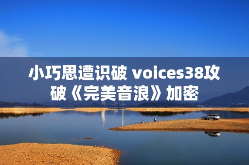 小巧思遭识破 voices38攻破《完美音浪》加密
