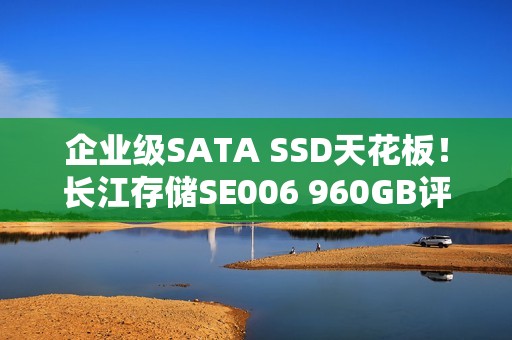 企业级SATA SSD天花板！长江存储SE006 960GB评测：持续3天高负荷测试 全程稳定读写