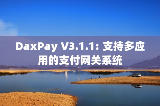 DaxPay V3.1.1: 支持多应用的支付网关系统