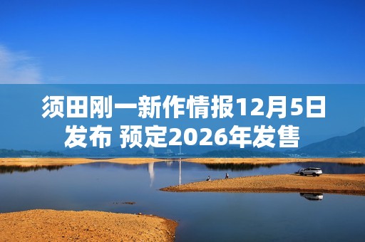须田刚一新作情报12月5日发布 预定2026年发售