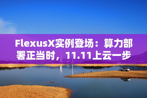 FlexusX实例登场：算力部署正当时，11.11上云一步到位