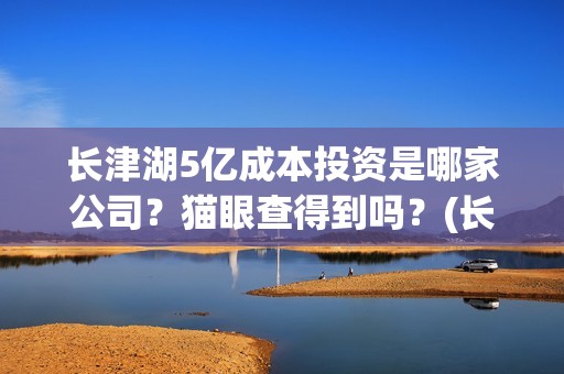 长津湖5亿成本投资是哪家公司？猫眼查得到吗？(长津湖破53亿)