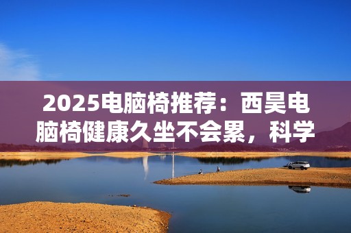 2025电脑椅推荐：西昊电脑椅健康久坐不会累，科学支撑更舒适