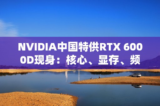 NVIDIA中国特供RTX 6000D现身：核心、显存、频率全部大砍