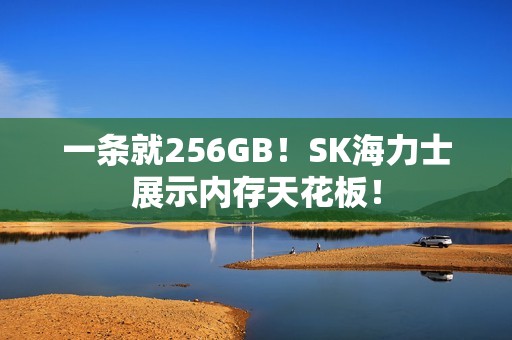 一条就256GB！SK海力士展示内存天花板！