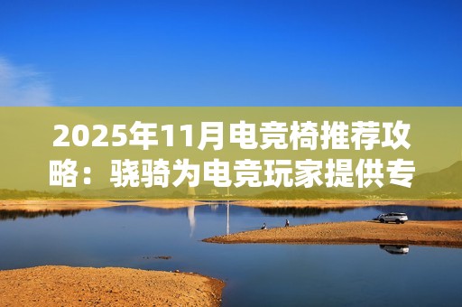 2025年11月电竞椅推荐攻略：骁骑为电竞玩家提供专属解决方案