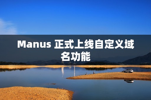 Manus 正式上线自定义域名功能