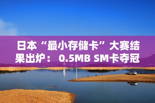 日本“最小存储卡”大赛结果出炉： 0.5MB SM卡夺冠