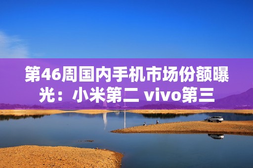 第46周国内手机市场份额曝光：小米第二 vivo第三