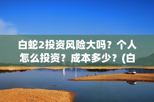 白蛇2投资风险大吗？个人怎么投资？成本多少？(白蛇2有哪家上市公司投资)