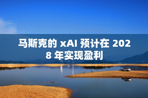 马斯克的 xAI 预计在 2028 年实现盈利
