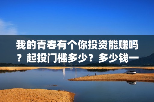 我的青春有个你投资能赚吗？起投门槛多少？多少钱一份？(我的青春有个你结局)