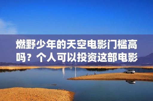 燃野少年的天空电影门槛高吗？个人可以投资这部电影吗？赚钱吗？(燃野少年的天空电视剧免费观看全集)