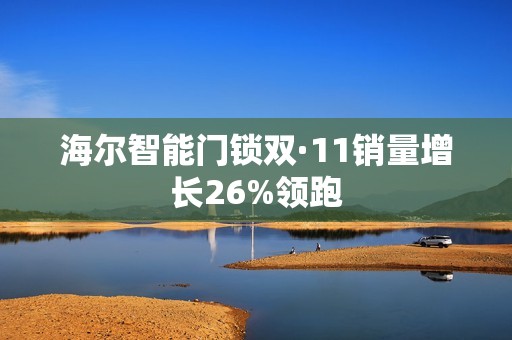 海尔智能门锁双·11销量增长26%领跑