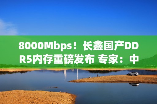 8000Mbps！长鑫国产DDR5内存重磅发布 专家：中国技术与韩国差距消失