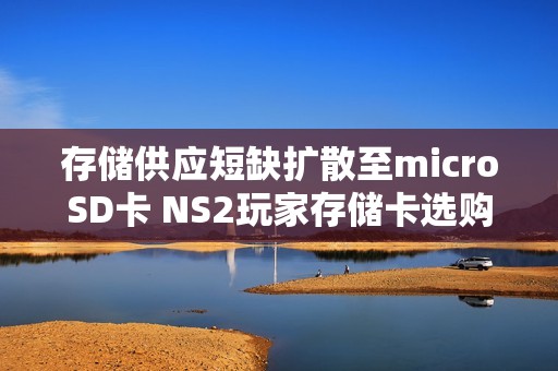 存储供应短缺扩散至microSD卡 NS2玩家存储卡选购受影响