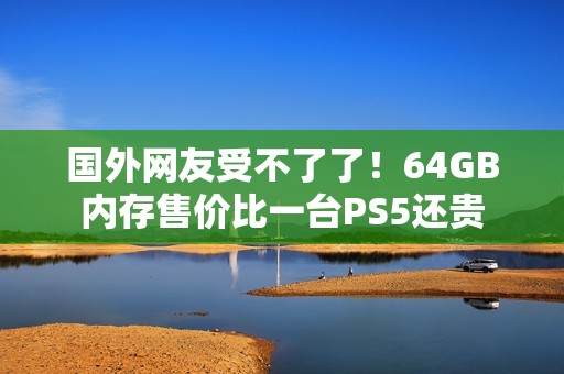 国外网友受不了了！64GB内存售价比一台PS5还贵